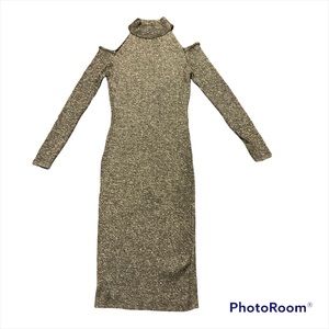 Ashley Stewart dress